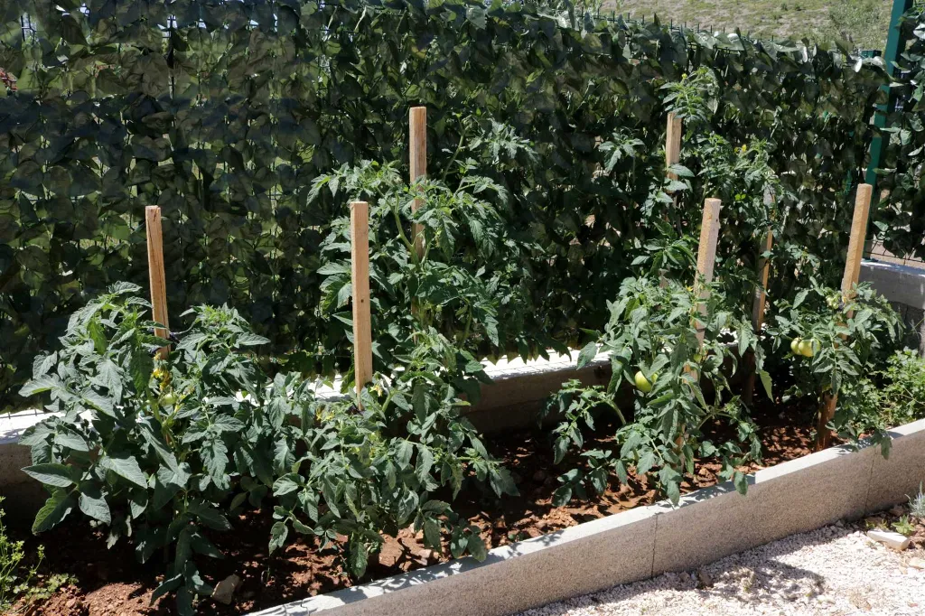 Kuća za odmor Ante 41c