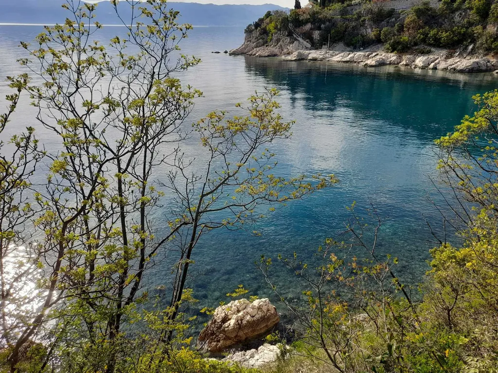 Lux. Apartman Villa M