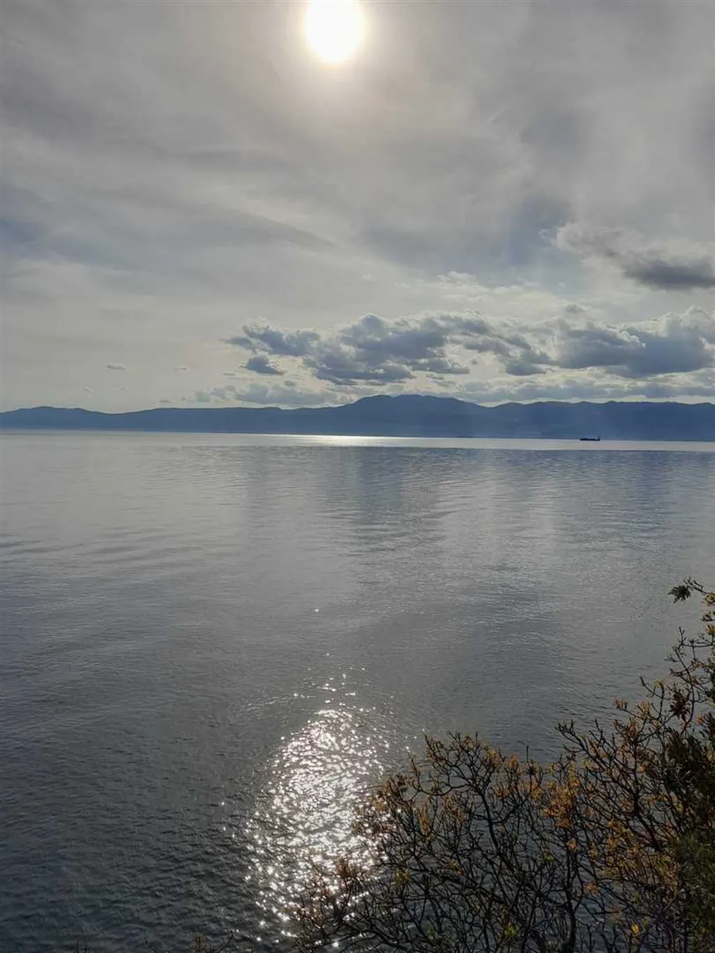 Lux. Apartman Villa M