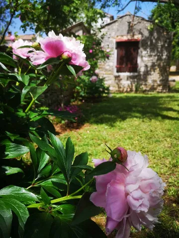 Two-Bedroom Apartment in Bale for 4 Guests