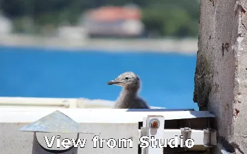 Studio Apartment in Rovinj City Center with Sea View