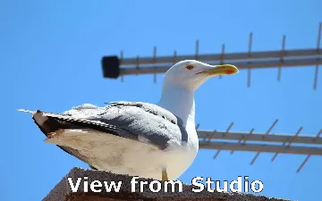 Studio Apartment in Rovinj City Center with Sea View