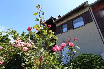 Two-Bedroom Apartment in Rovinj for 4 Guests