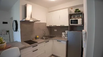 Two-Bedroom Apartment in Rovinj with Sea View