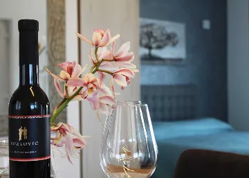 Studio for 2 in Rovinj with Sea View