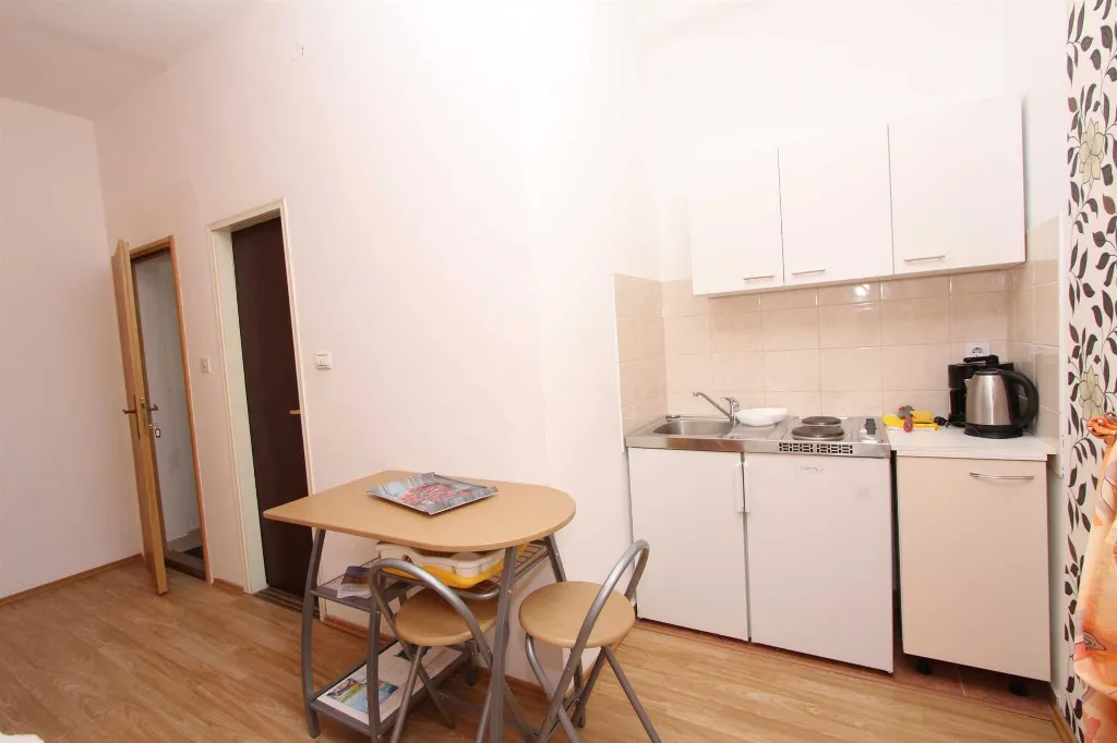 Studio Apartment for 2 in Rovinj with Balcony