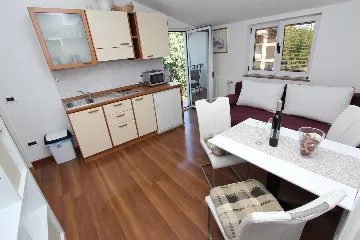 One-Bedroom Apartment with Balcony in Rovinj