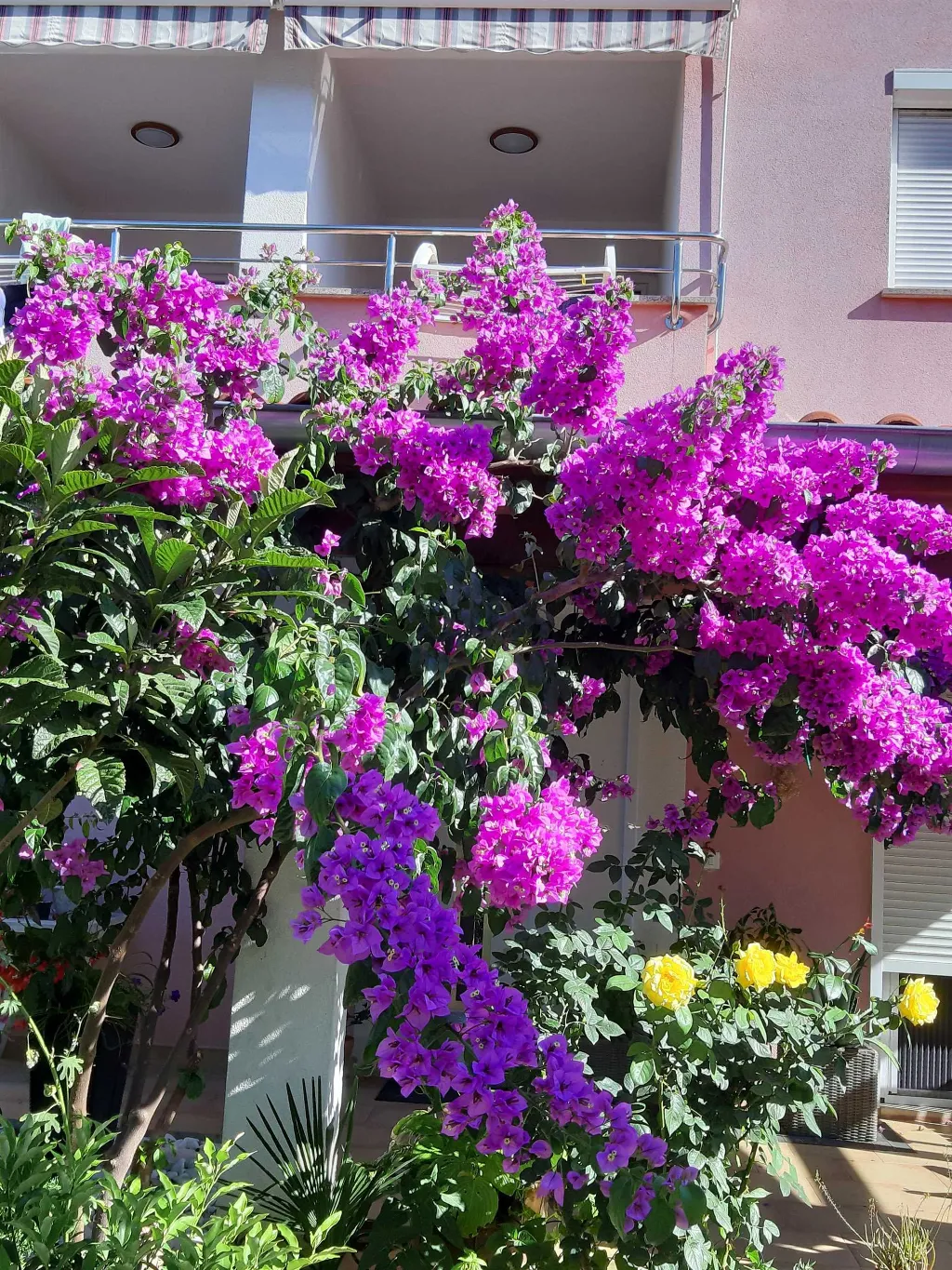 Two-Bedroom Apartment in Rovinj with Parking