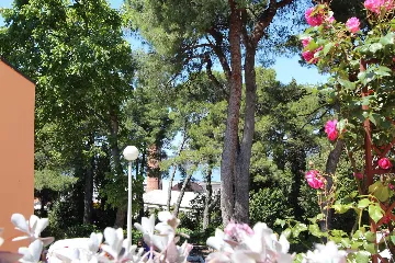 One-Bedroom Apartment for 2 in Rovinj