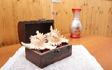 Studio for 2 Guests in Rovinj City Center