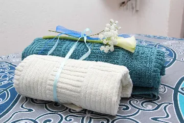 Studio for 2 Guests in Rovinj with Terrace