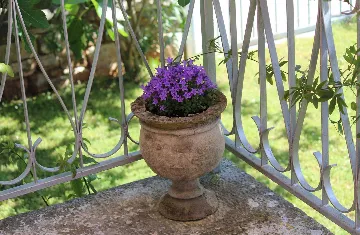 Studio for 2 in Rovinj with Balcony and Parking