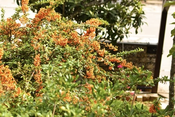 One-Bedroom Apartment in Pula with Terrace