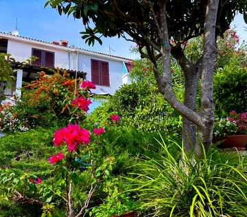 One-Bedroom Apartment in Pula with Terrace