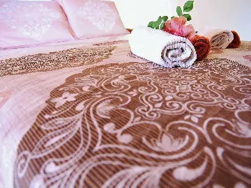 Studio Apartment with Balcony in Rovinj