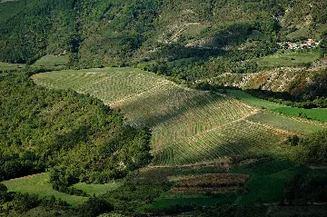 Holiday House with Pool in Sv. Lovreč