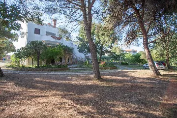 Banjole Apartment for 3 Guests