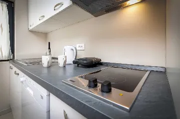 One-Bedroom Apartment with Terrace in Rovinj