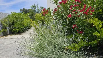 Kanfanar Apartment with Balcony for 3 Guests