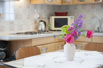 One-Bedroom Apartment for 2 in Rovinj