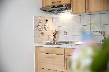 One-Bedroom Apartment with Balcony in Rovinj