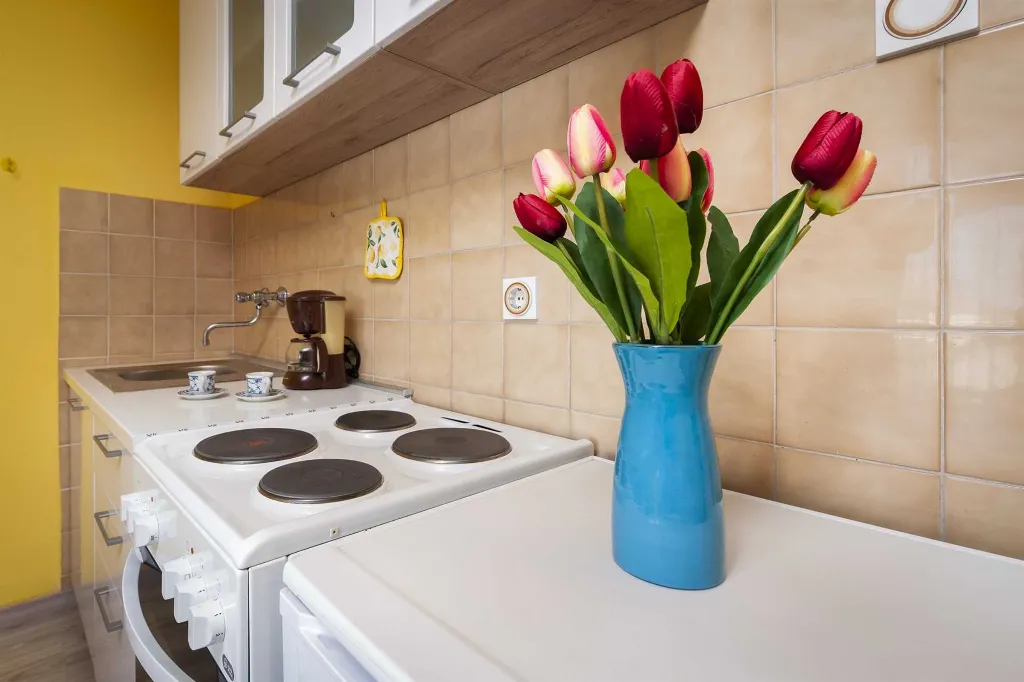 One-Bedroom Apartment with Balcony in Rovinj