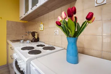 One-Bedroom Apartment with Balcony in Rovinj