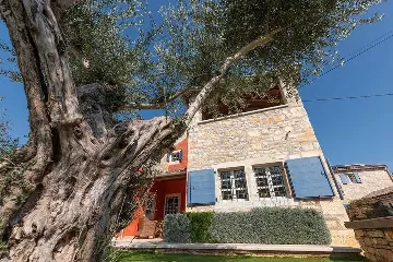 Heated Pool Villa in Brečevići-Tinjan for 8 Guests