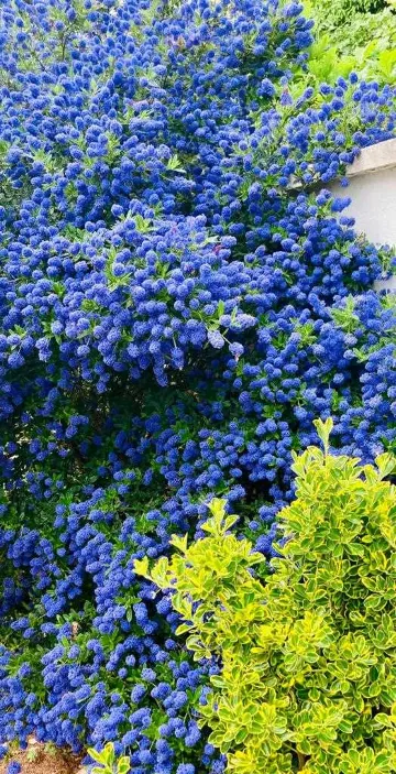 Villa with Sea View and Private Pool in Ližnjan