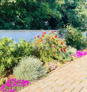 Villa with Sea View and Private Pool in Ližnjan