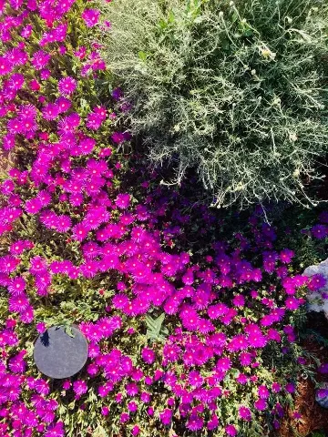 Villa with Sea View and Private Pool in Ližnjan