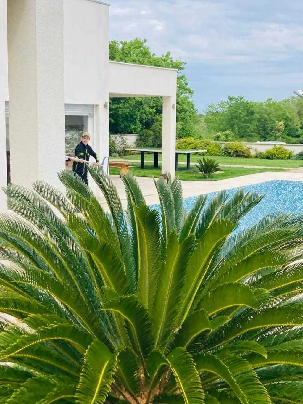 Villa with Sea View and Private Pool in Ližnjan
