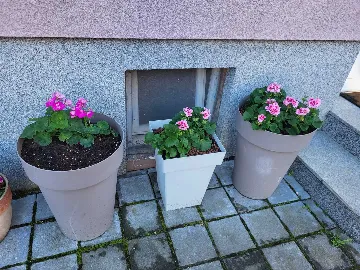 Double Room with Two Beds in Zagreb