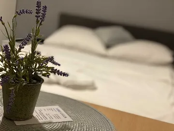 Single Room in Zagreb for 1 Guest