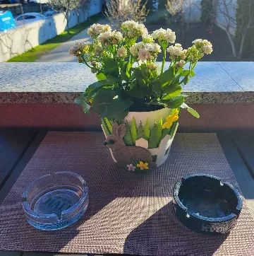 Air-Conditioned Room with Yard View in Zagreb