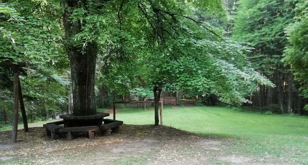 Oaza Preske, picnic area - an oasis in the middle of the forest in untouched nature