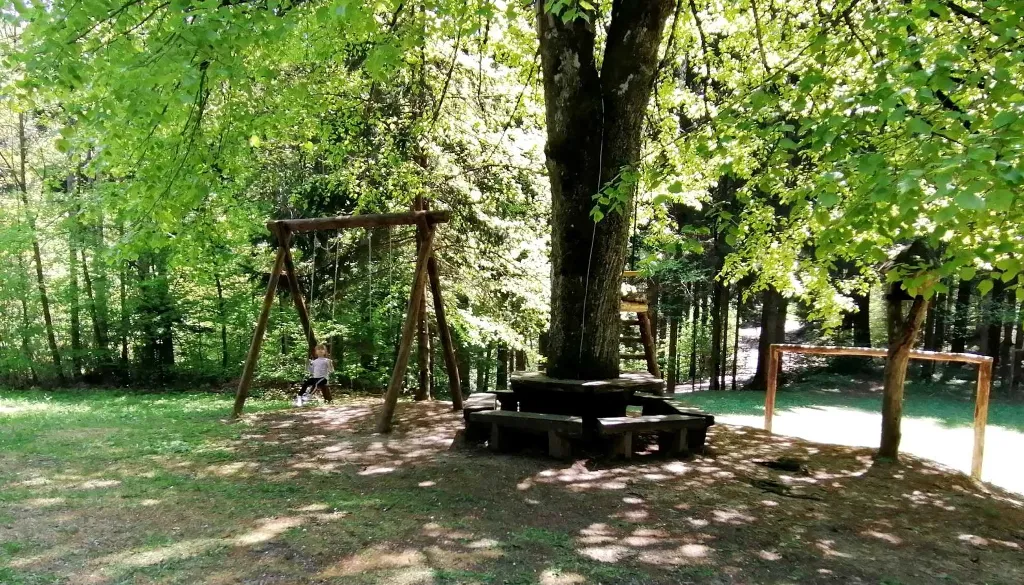 Oaza Preske, picnic area - an oasis in the middle of the forest in untouched nature