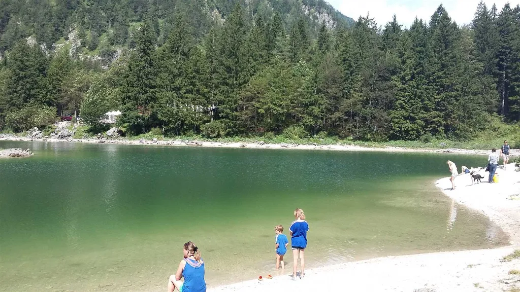 Apartmanska kuća - AP 1/1, naselje Čertenje - Kranjska Gora