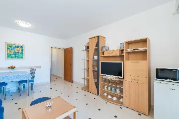 Vir Apartment for 2–4 Guests with Terrace