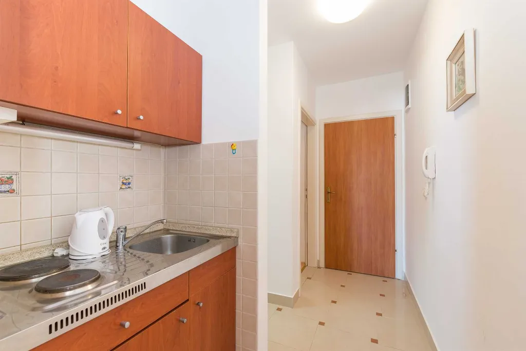 Sea View Apartment in Vir for 2-4 Guests