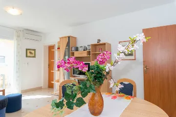 Apartment with Sea View, Vir (Bobovik), Sleeps 6