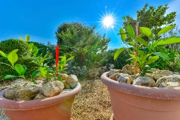 Air-Conditioned Apartment in Vir for 2–4 Guests