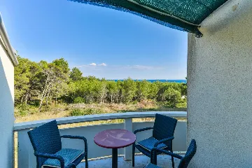 Air-Conditioned Apartment in Vir for 2–4 Guests