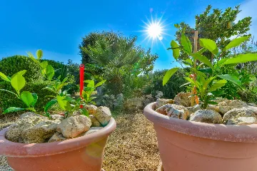 Air-Conditioned 1-Bedroom Apartment in Vir for 4