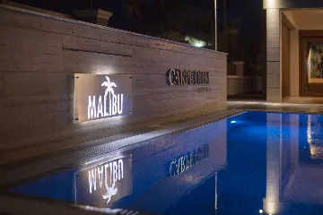 Pool, Jacuzzi & Sauna Villa in Vir (8–10)