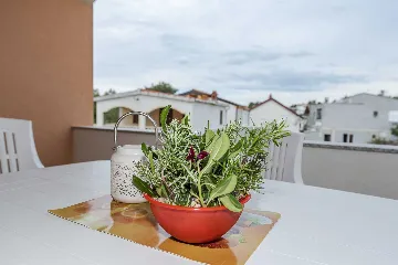 Apartment in Vir for 4 Guests with Balcony