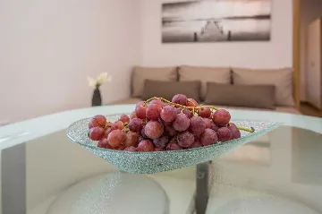 1-Bedroom Apartment for 2–4 in Vir, Croatia