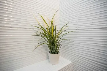 1-Bedroom Apartment in Vir for Up to 4 Guests