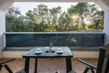 Ground-Floor Apartment in Vir for 2–4 Guests