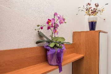 2-Bedroom Apartment in Vir for Up to 4